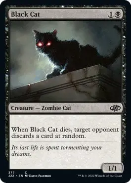 Black Cat [Jumpstart 2022] 1