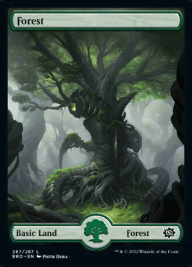 Forest (287) [The Brothers' War] 1