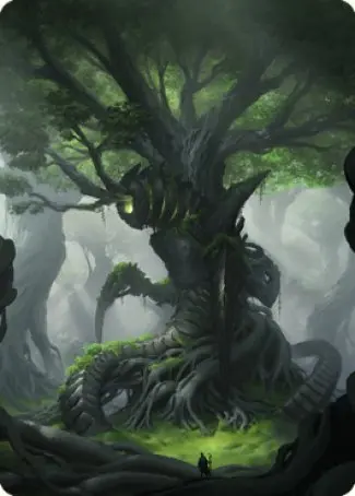 Forest Art Card [The Brothers' War Art Series] 1