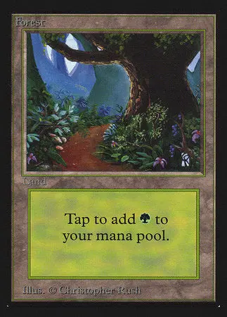 Forest (B) (Ce) [Collectors’ Edition] 1