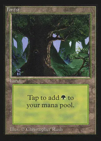 Forest (C) (Ce) [Collectors’ Edition] 1
