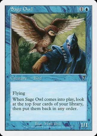 Sage Owl [Seventh Edition] 1