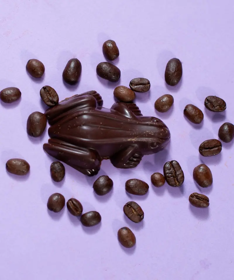Syrian Coffee - Frog 1