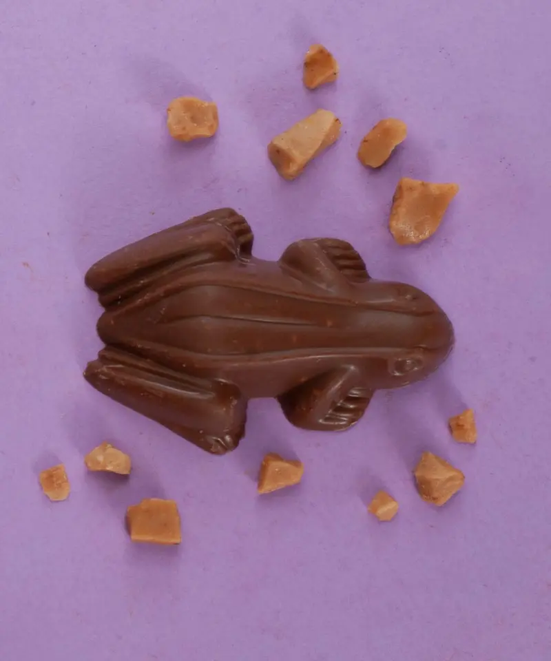 Toffee Toffee Toffee - Frog 1